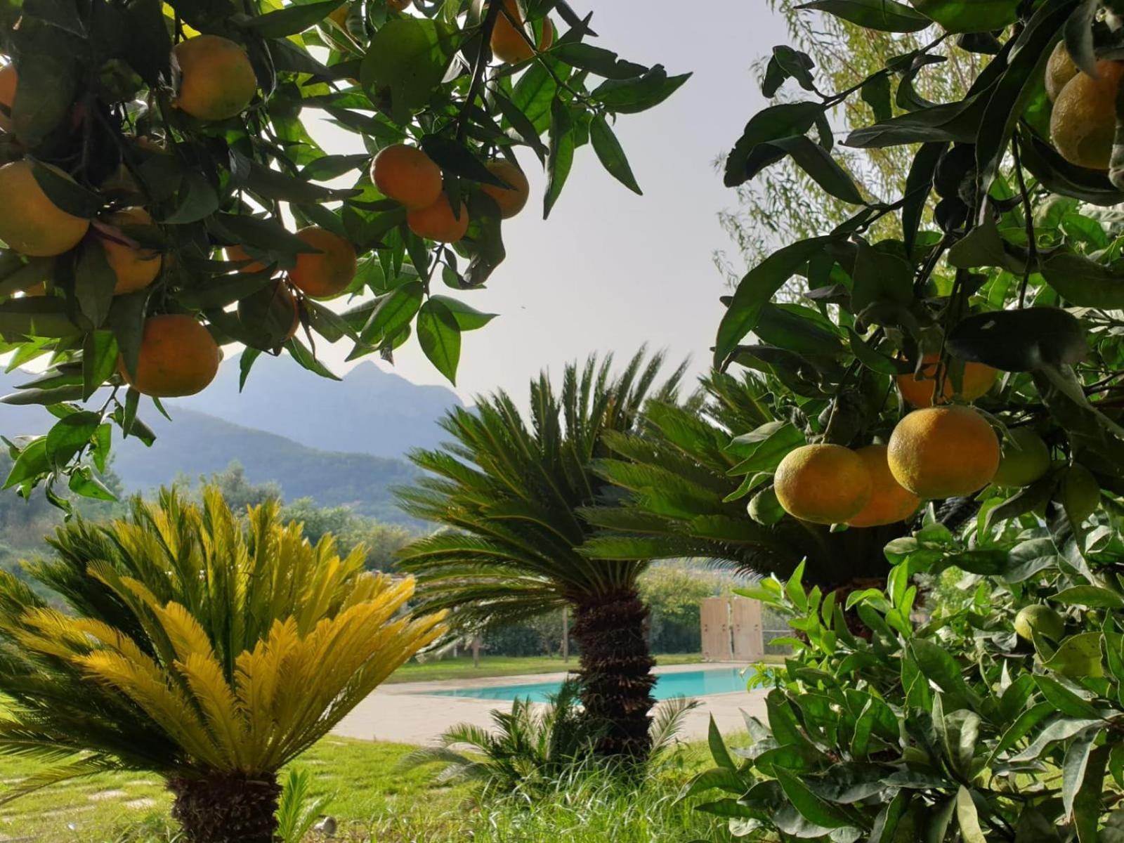 Terra Vitale Cava deʼ Tirreni Exterior foto